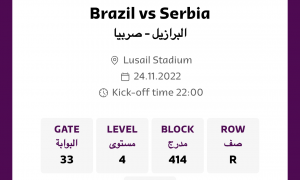 Brazil vs Serbia